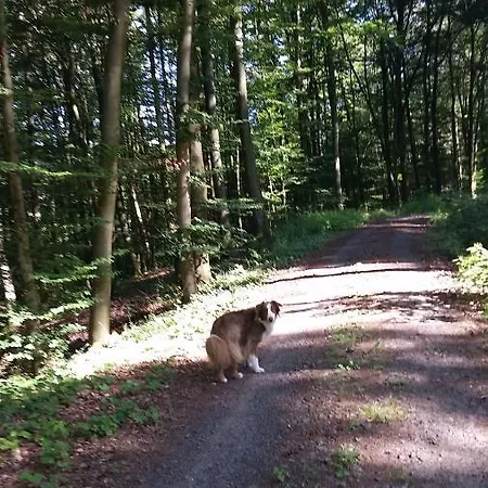 Lenzenhof Anno 1720 Ii Apartment *