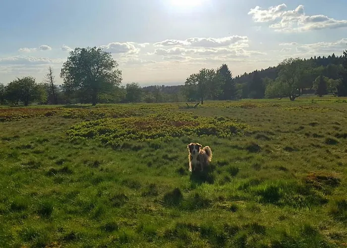 Apartment Lenzenhof Anno 1720 Ii *
