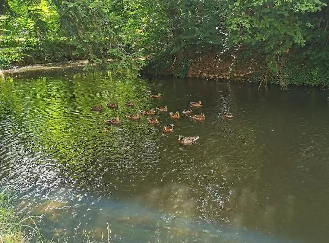 Lenzenhof Anno 1720 Ii Schotten